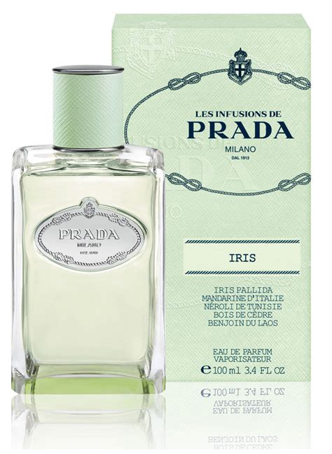 prada iris men's|prada infusion d'iris green.